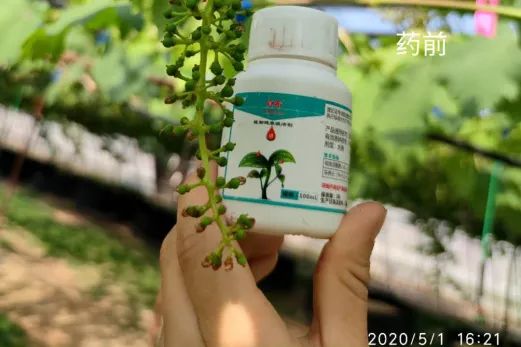 富硒茶怎么测硒含量（含量测茶富硒硒含量多少）-硒宝网