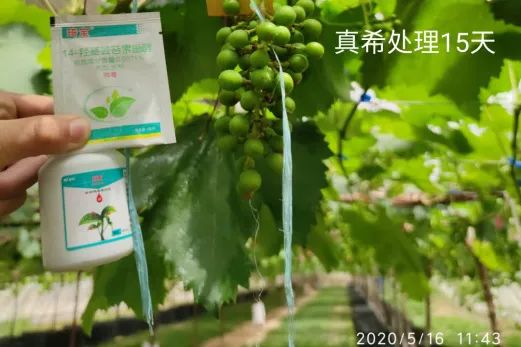 富硒茶怎么测硒含量（含量测茶富硒硒含量多少）-硒宝网