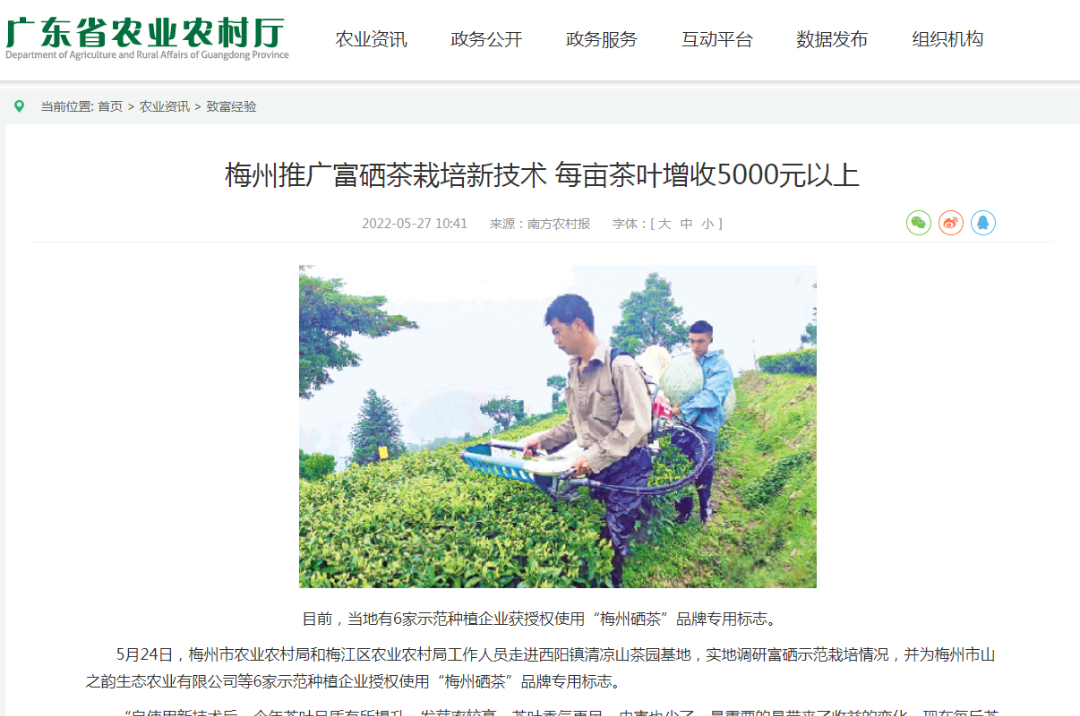 富硒茶怎么测硒含量（含量测茶富硒硒含量多少）-硒宝网