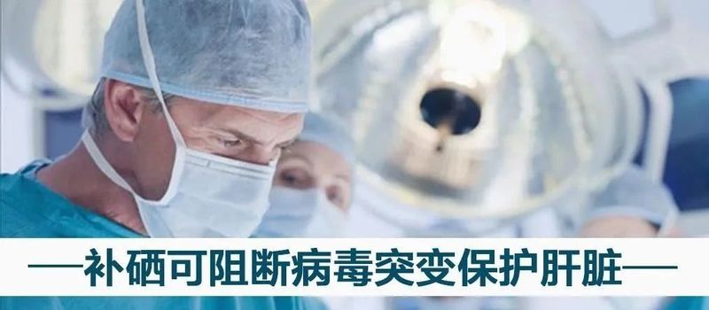 安康富硒茶珍品硒红（安康富硒茶是绿茶吗）-硒宝网