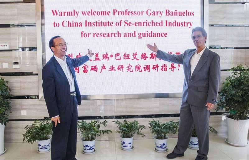 安康富硒茶珍品硒红（安康富硒茶是绿茶吗）-硒宝网