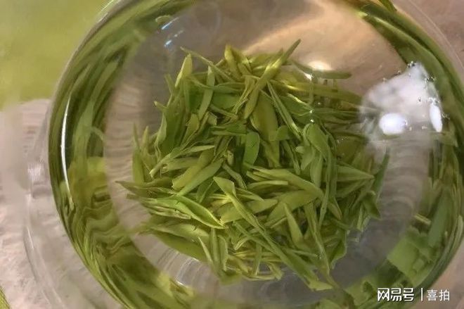 恩施富硒茶和麦芽硒(硒麦芽片的功效与作用)-硒宝网