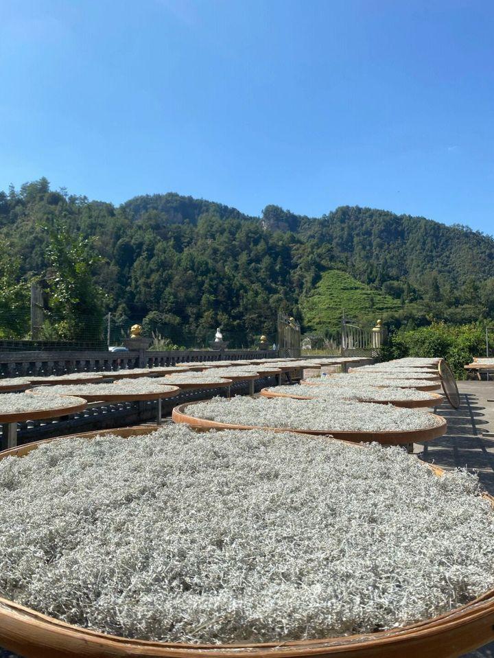 凤硒 恩施富硒藤茶(施恩富硒滕茶)-硒宝网