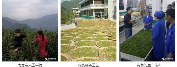 紫阳富硒茶硒健银针（紫阳富硒茶的冲泡方法）-硒宝网