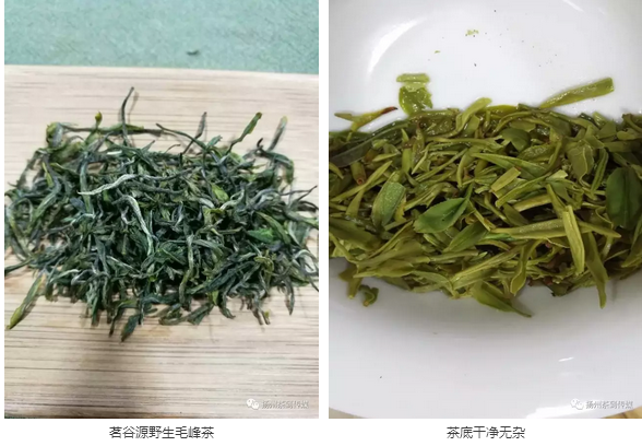 紫阳富硒茶硒健银针（紫阳富硒茶的冲泡方法）-硒宝网