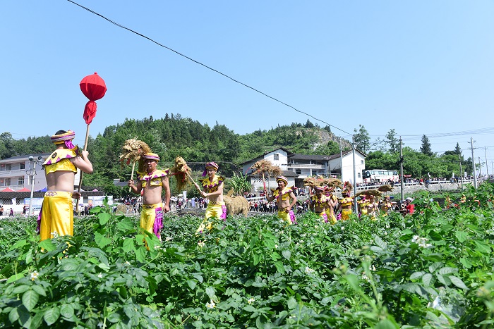 2020恩施富硒茶(恩施富硒茶文化的内涵有)-硒宝网