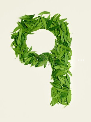 富硒茶SWOT分析(富硒茶叶的工艺流程)-硒宝网