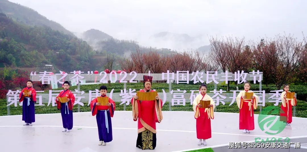 2022紫阳富硒茶(紫阳富硒茶多少钱一斤)-硒宝网