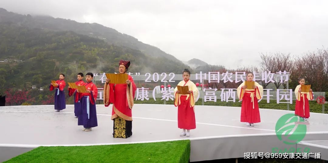 2022紫阳富硒茶(紫阳富硒茶多少钱一斤)-硒宝网