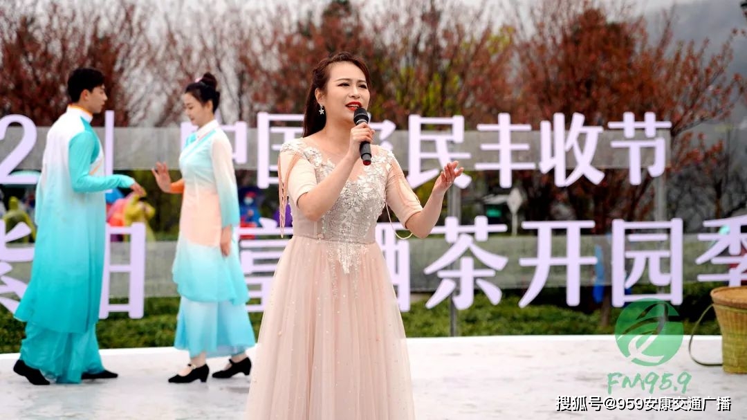 2022紫阳富硒茶(紫阳富硒茶多少钱一斤)-硒宝网