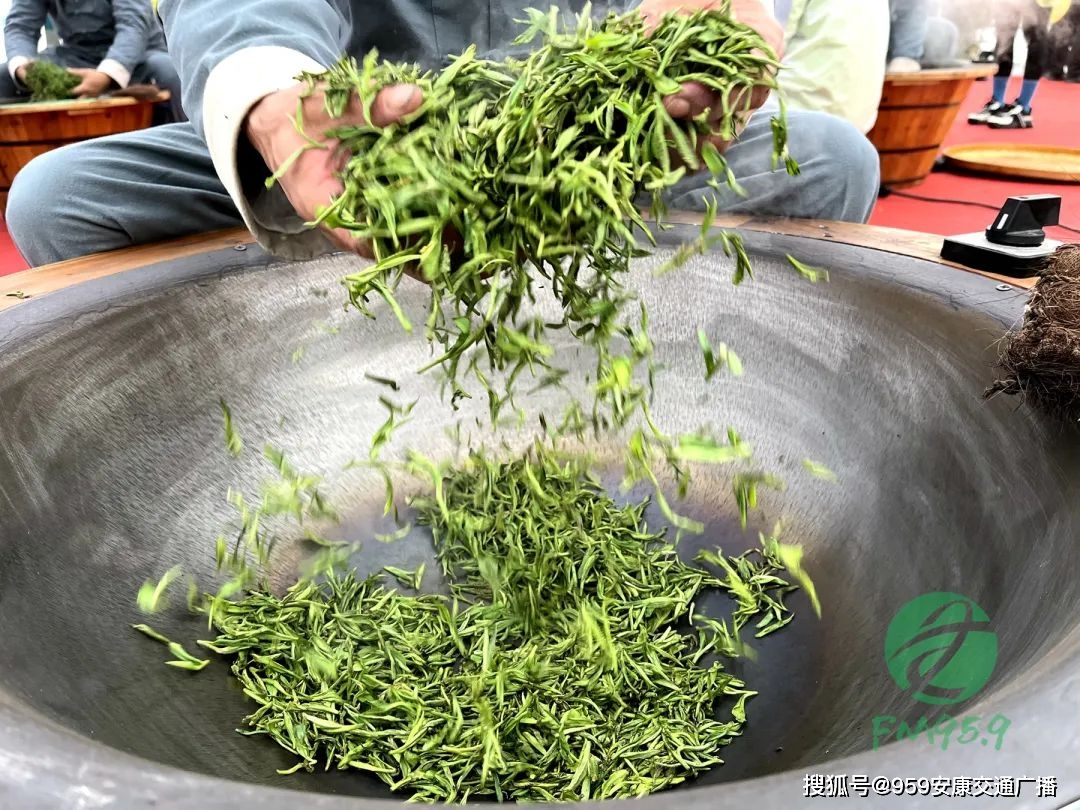 2022紫阳富硒茶(紫阳富硒茶多少钱一斤)-硒宝网