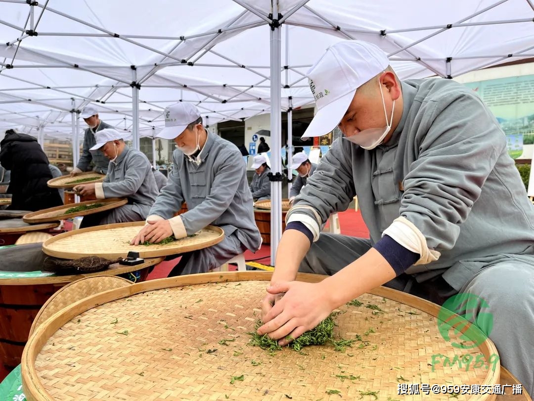2022紫阳富硒茶(紫阳富硒茶多少钱一斤)-硒宝网