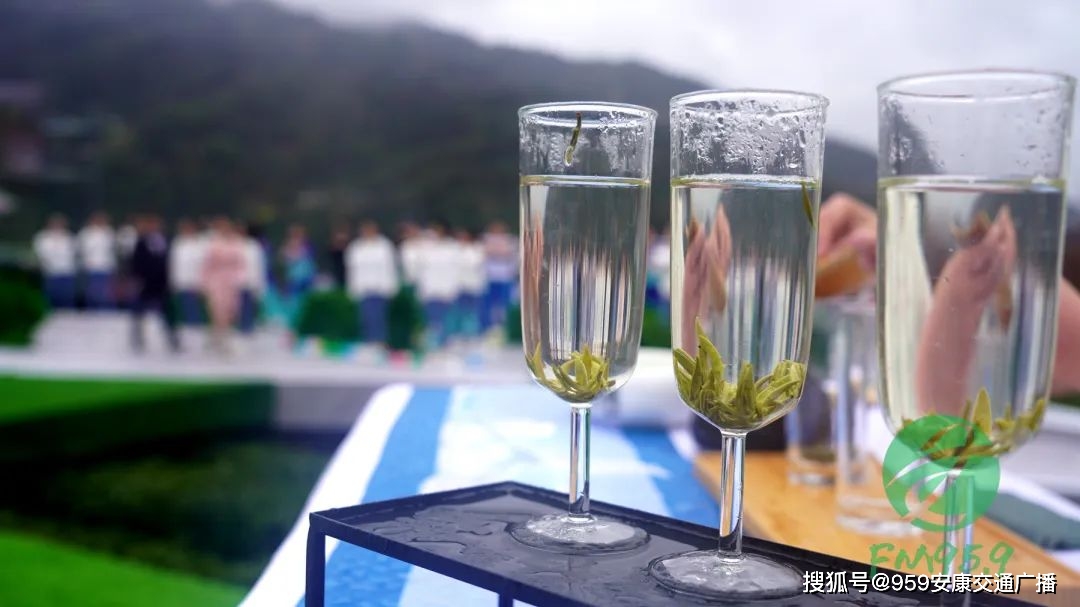 2022紫阳富硒茶(紫阳富硒茶多少钱一斤)-硒宝网