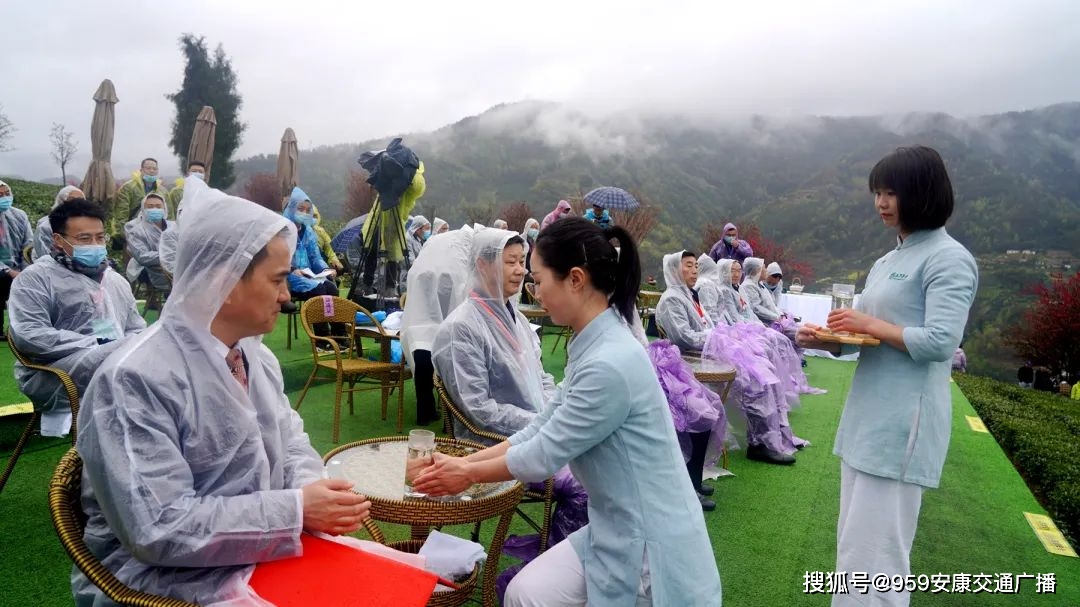 2022紫阳富硒茶(紫阳富硒茶多少钱一斤)-硒宝网