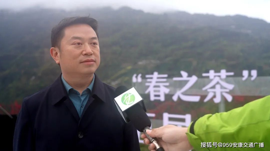 2022紫阳富硒茶(紫阳富硒茶多少钱一斤)-硒宝网