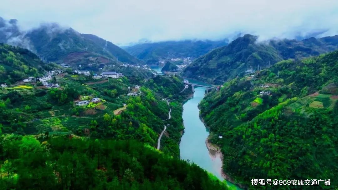 2022紫阳富硒茶(紫阳富硒茶多少钱一斤)-硒宝网