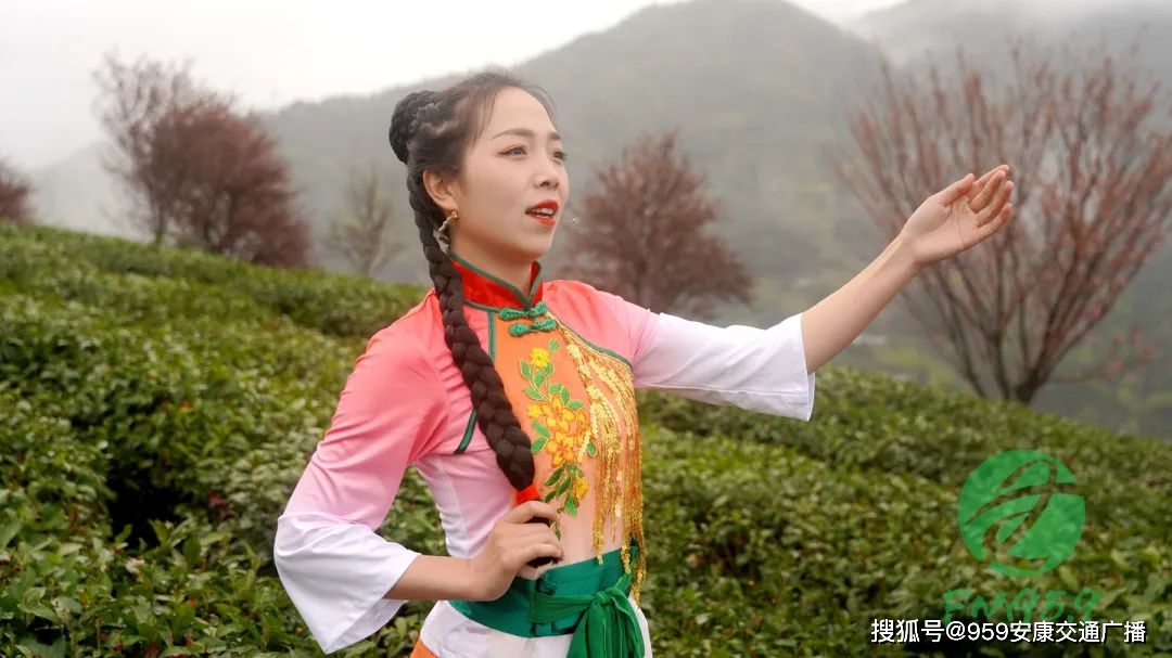 2022紫阳富硒茶(紫阳富硒茶多少钱一斤)-硒宝网