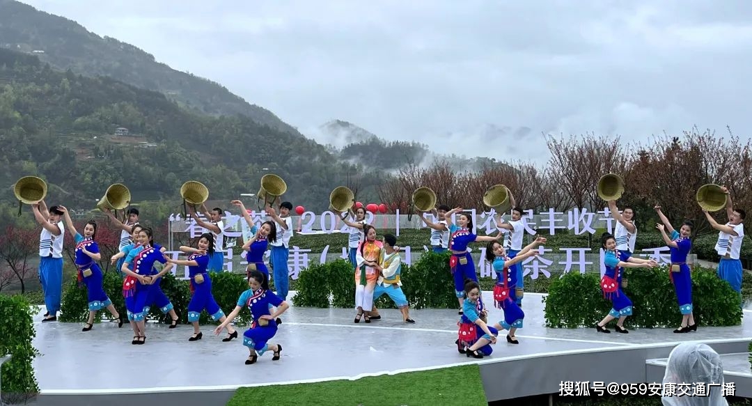 2022紫阳富硒茶(紫阳富硒茶多少钱一斤)-硒宝网