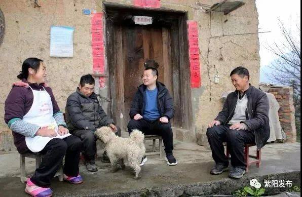 紫阳富硒茶2020(紫阳富硒茶厂)-硒宝网