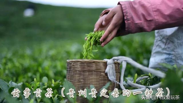 曲阜凤冈富锌富硒茶(正宗富锌富硒茶产地直供)-硒宝网
