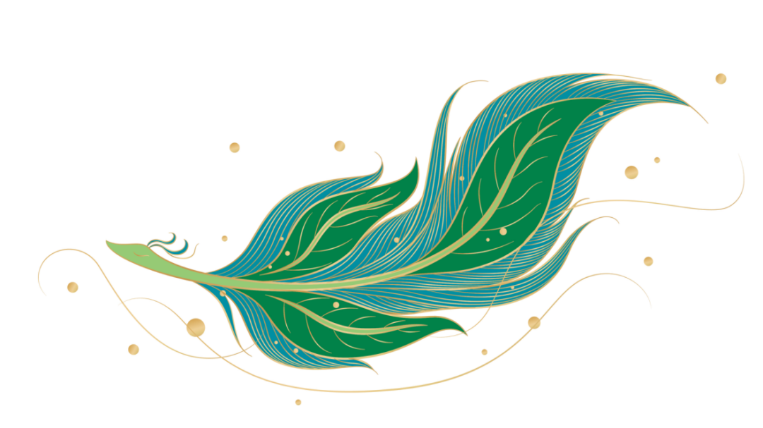 山西凤冈富锌富硒茶（凤岗富硒茶价格）-硒宝网