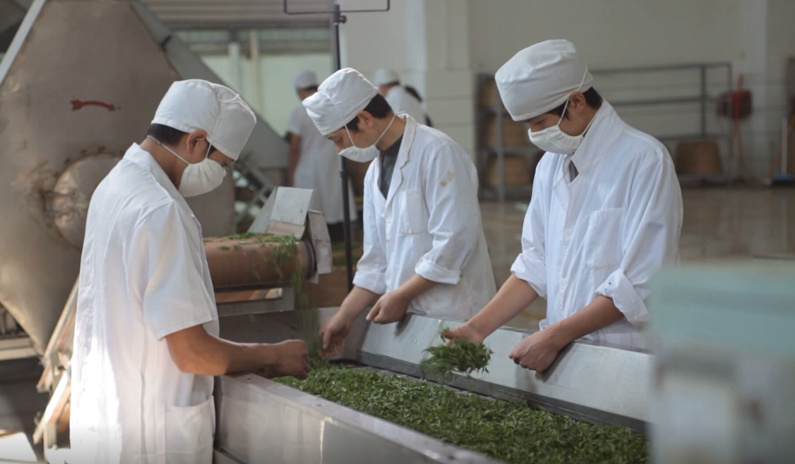 贵州凤冈富锌富硒茶(凤岗富硒茶价格)-硒宝网