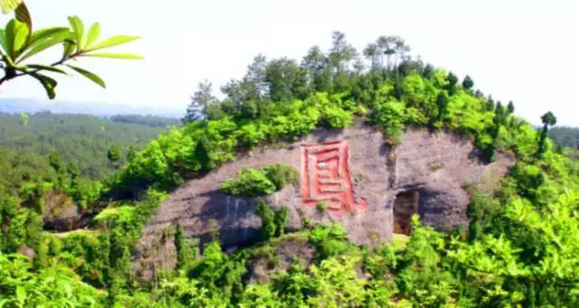 温州凤冈富锌富硒茶（富硒茶庄）-硒宝网