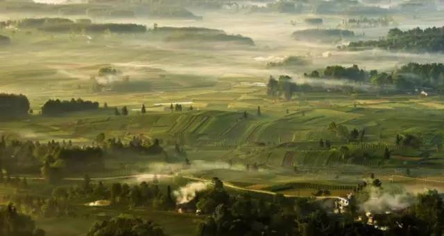 温州凤冈富锌富硒茶（富硒茶庄）-硒宝网