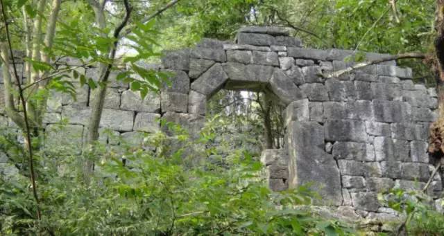 温州凤冈富锌富硒茶（富硒茶庄）-硒宝网