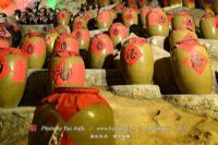 广西富锌富硒有机茶（富锌硒茶叶）-硒宝网