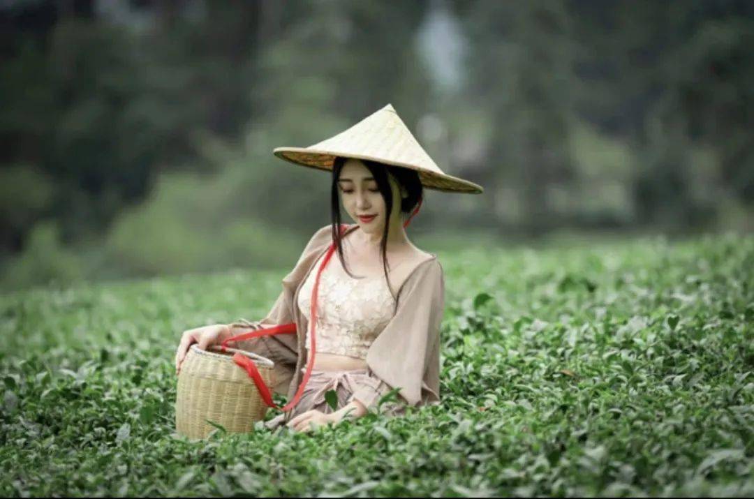 贵州凤冈富锌富硒茶(凤冈县富硒茶)-硒宝网