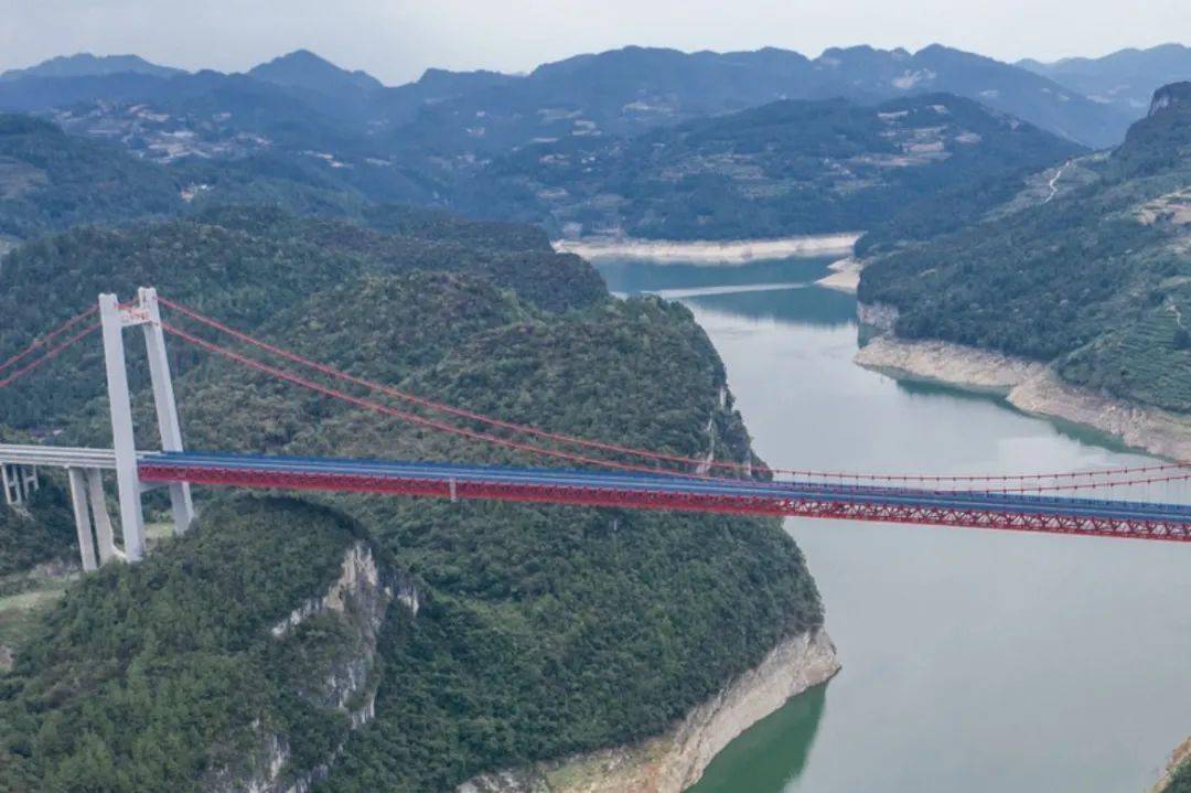 贵州凤冈富锌富硒茶(凤冈县富硒茶)-硒宝网