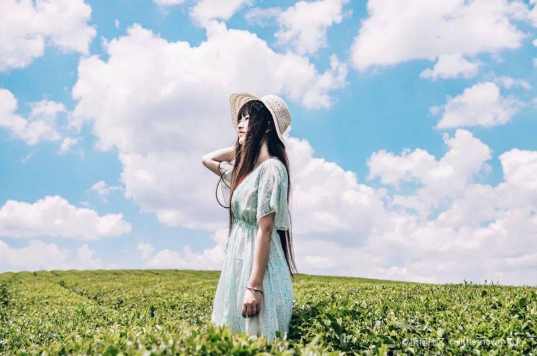 贵州凤冈富锌富硒茶(凤冈县富硒茶)-硒宝网