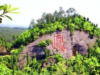 安宁凤冈富锌富硒茶(贵州凤冈富锌富硒茶)-硒宝网