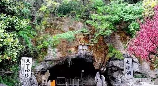 安宁凤冈富锌富硒茶(贵州凤冈富锌富硒茶)-硒宝网