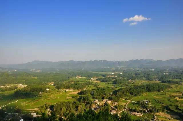 安宁凤冈富锌富硒茶(贵州凤冈富锌富硒茶)-硒宝网