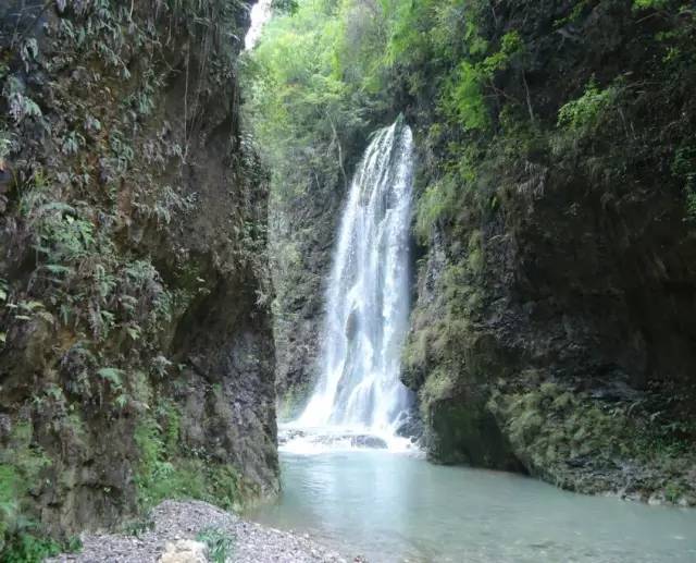 安宁凤冈富锌富硒茶(贵州凤冈富锌富硒茶)-硒宝网