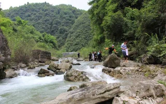 安宁凤冈富锌富硒茶(贵州凤冈富锌富硒茶)-硒宝网