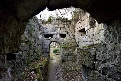 安宁凤冈富锌富硒茶(贵州凤冈富锌富硒茶)-硒宝网