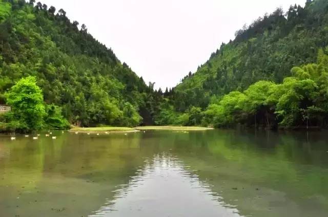 安宁凤冈富锌富硒茶(贵州凤冈富锌富硒茶)-硒宝网