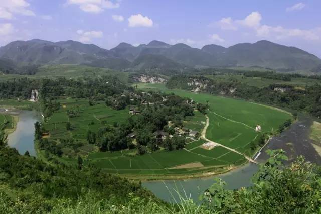 安宁凤冈富锌富硒茶(贵州凤冈富锌富硒茶)-硒宝网