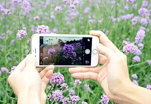 安宁凤冈富锌富硒茶(贵州凤冈富锌富硒茶)-硒宝网