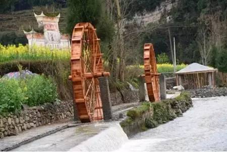 安宁凤冈富锌富硒茶(贵州凤冈富锌富硒茶)-硒宝网