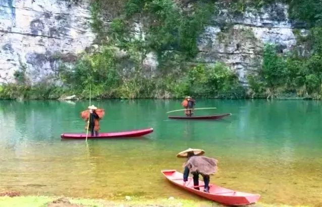 安宁凤冈富锌富硒茶(贵州凤冈富锌富硒茶)-硒宝网