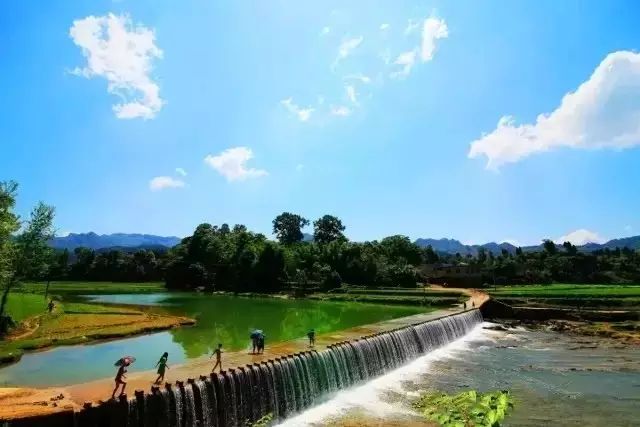 安宁凤冈富锌富硒茶(贵州凤冈富锌富硒茶)-硒宝网