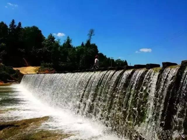 安宁凤冈富锌富硒茶(贵州凤冈富锌富硒茶)-硒宝网