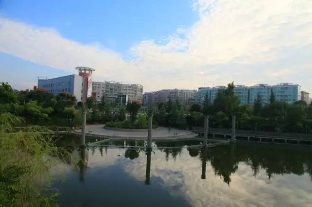 安宁凤冈富锌富硒茶(贵州凤冈富锌富硒茶)-硒宝网