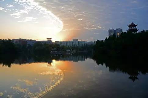 安宁凤冈富锌富硒茶(贵州凤冈富锌富硒茶)-硒宝网