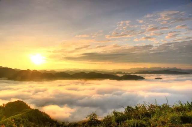 安宁凤冈富锌富硒茶(贵州凤冈富锌富硒茶)-硒宝网