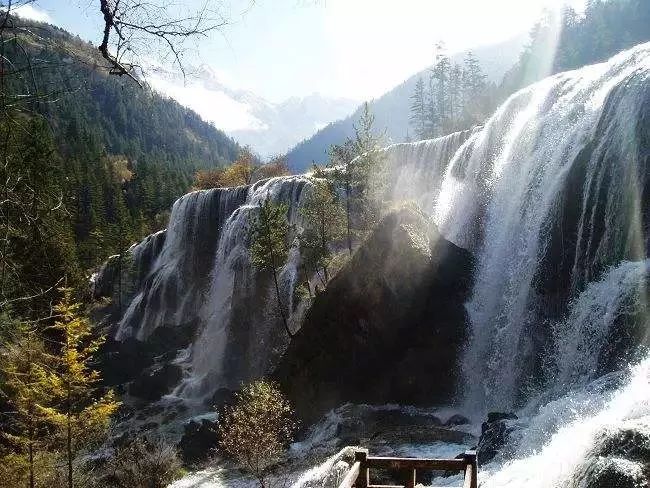 宜兴凤冈富锌富硒茶(富硒紫砂龙凤壶价格)-硒宝网